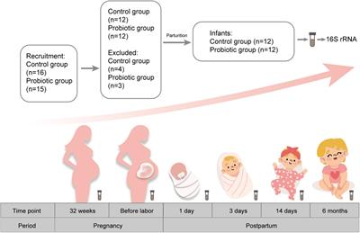 Probiotic supplementation during pregnancy alters gut microbial networks of pregnant women and infants